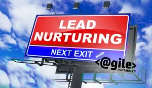 If you can create a video course or a series of emails that actually teach your potential clients something relating to the field that your software addresses, you instantly become their guru. You become the authority.